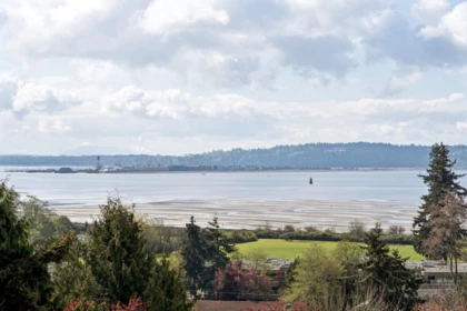 Backyard Photo of 956 Kent Street, White Rock, BC