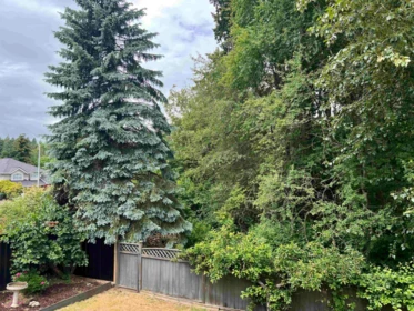 Hot Tub / Spa Photo of 14915 25a Avenue, Surrey, BC
