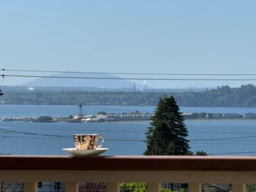 1243 Parker Street, White Rock, BC, White Rock — Single Family Residence for sale