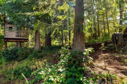 Neighborhood Park Photo Near 12494 Malcolm Road, Madeira Park, BC