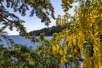 Front Yard Photo of 1475 Webb Road, Bowen Island, BC