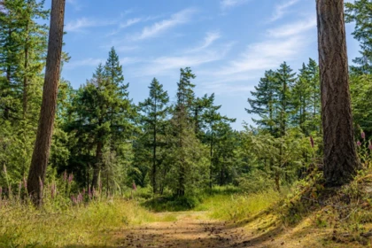 1-861 Bluff Road, Galiano Island, BC, Galiano Island — Other for sale