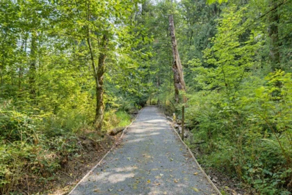 Playground / Recreational Area Near 1233 231 Street, Langley, BC
