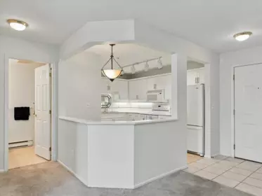 Kitchen Photo of 104 20217 Michaud Crescent, Langley, BC