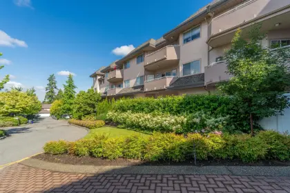 102 21975 49 Avenue, Langley, BC, Langley — Apartment/Condo for sale