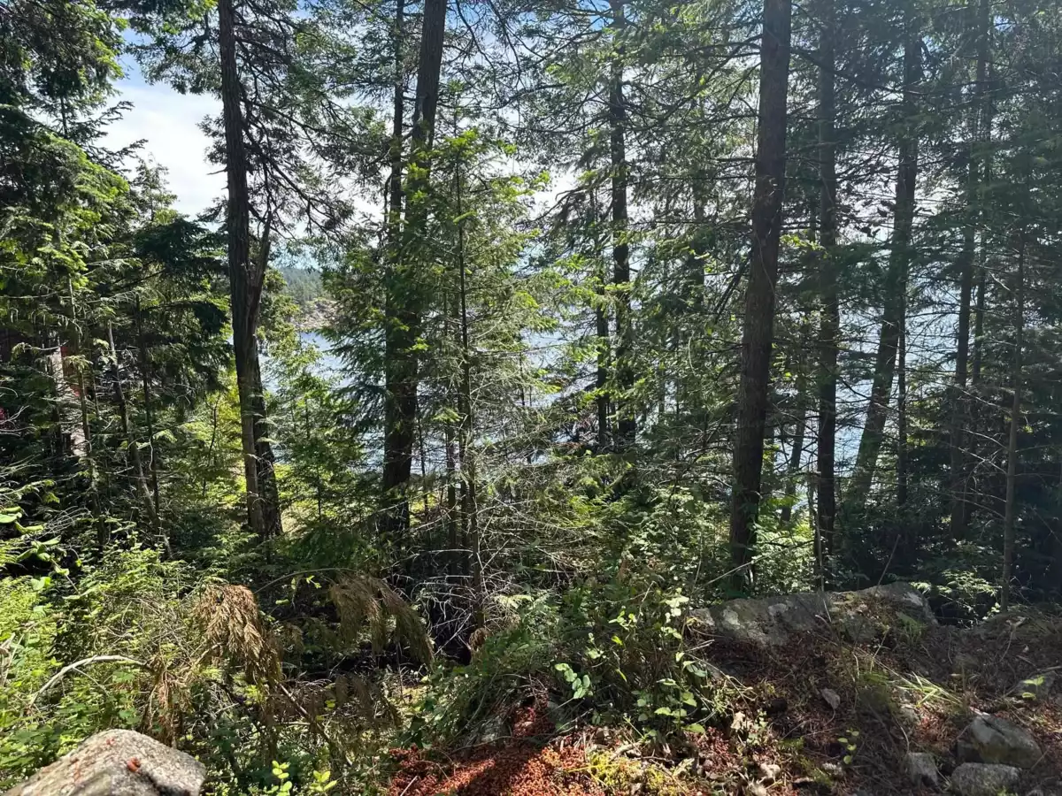 Family Room Photo of Lot 10 Orca Road, Garden Bay, BC