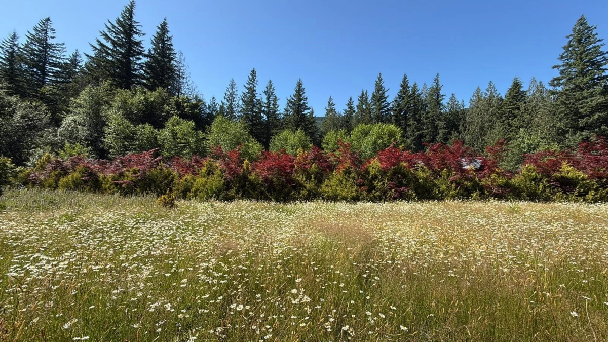 Bedroom 2 Photo of 1153 Kosikar Road, Columbia Valley, BC