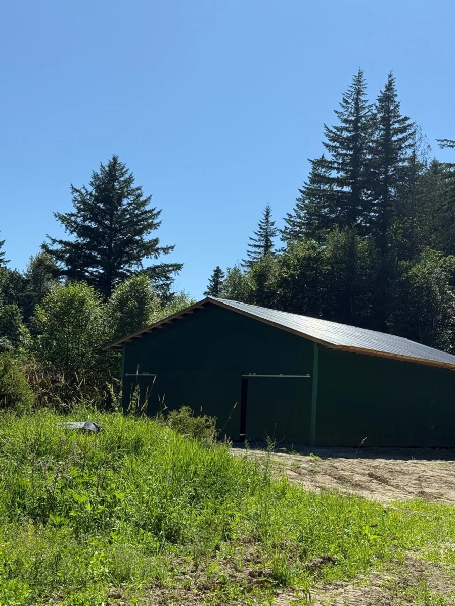 Exterior Rear Photo of 1153 Kosikar Road, Columbia Valley, BC