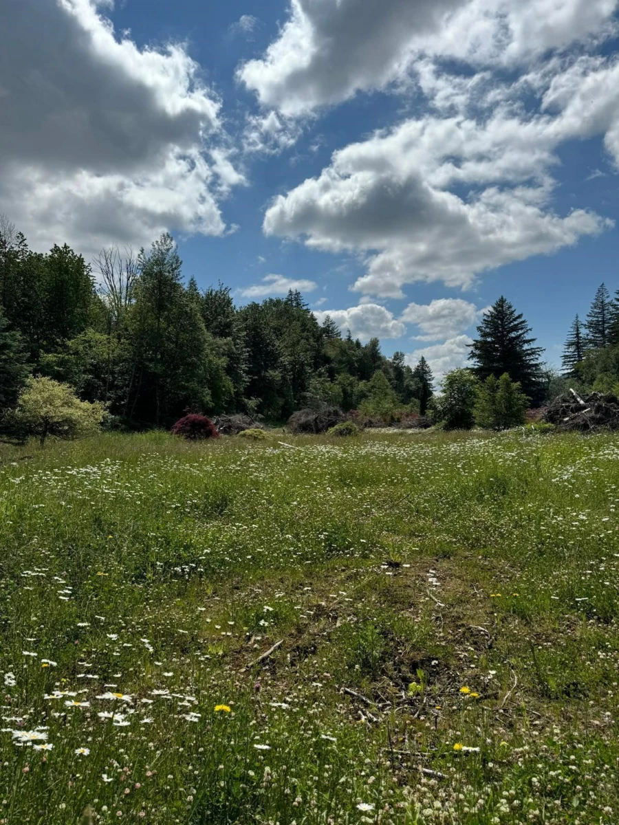 Guest Bathroom Photo of 1153 Kosikar Road, Columbia Valley, BC