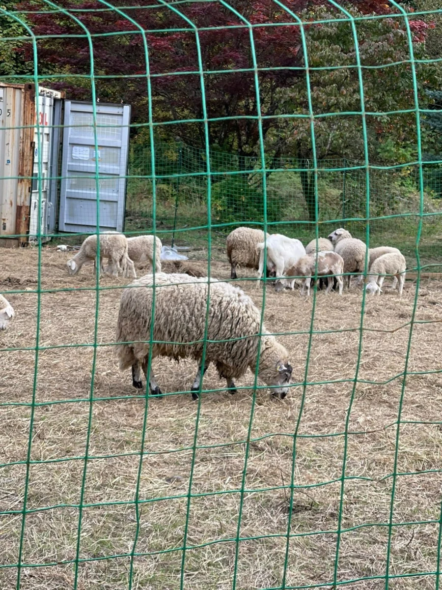 Kitchen Island Photo of 1153 Kosikar Road, Columbia Valley, BC