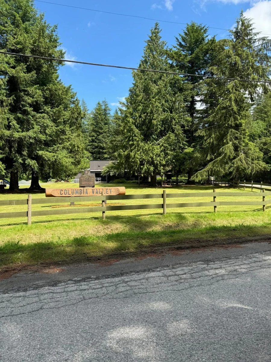 Living Room Photo of 1153 Kosikar Road, Columbia Valley, BC