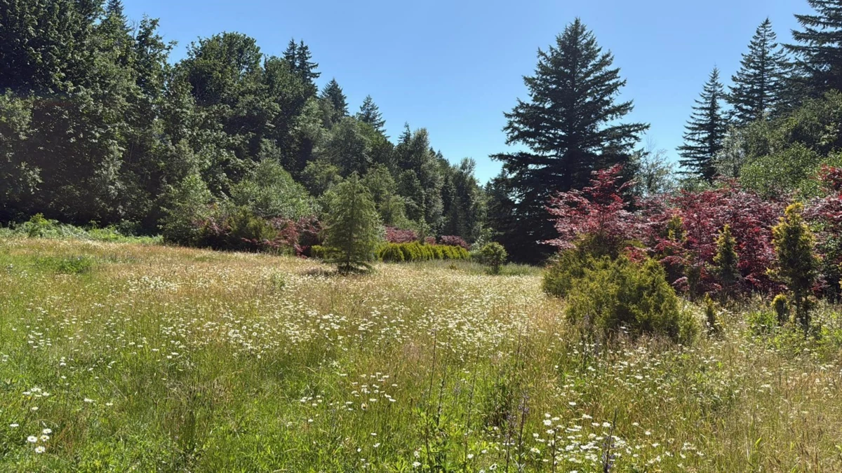 Pantry Photo of 1153 Kosikar Road, Columbia Valley, BC