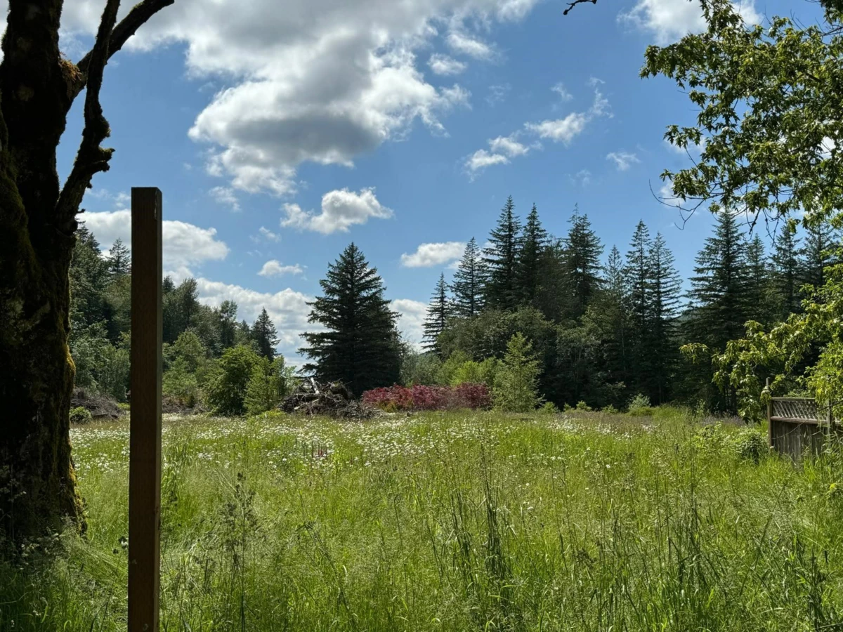Powder Room Photo of 1153 Kosikar Road, Columbia Valley, BC