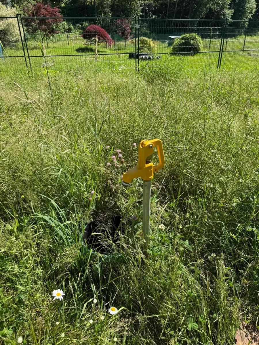 Walk-In Closet Photo of 1153 Kosikar Road, Columbia Valley, BC