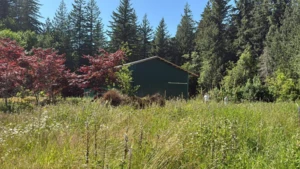 1153 Kosikar Road, Columbia Valley, BC
