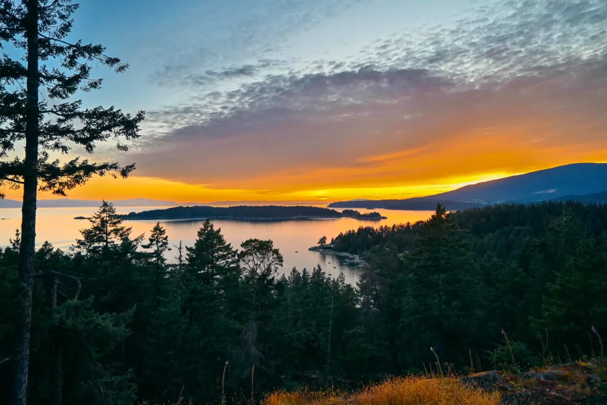Backyard Photo of 1673 Evergreen Lane, Bowen Island, BC