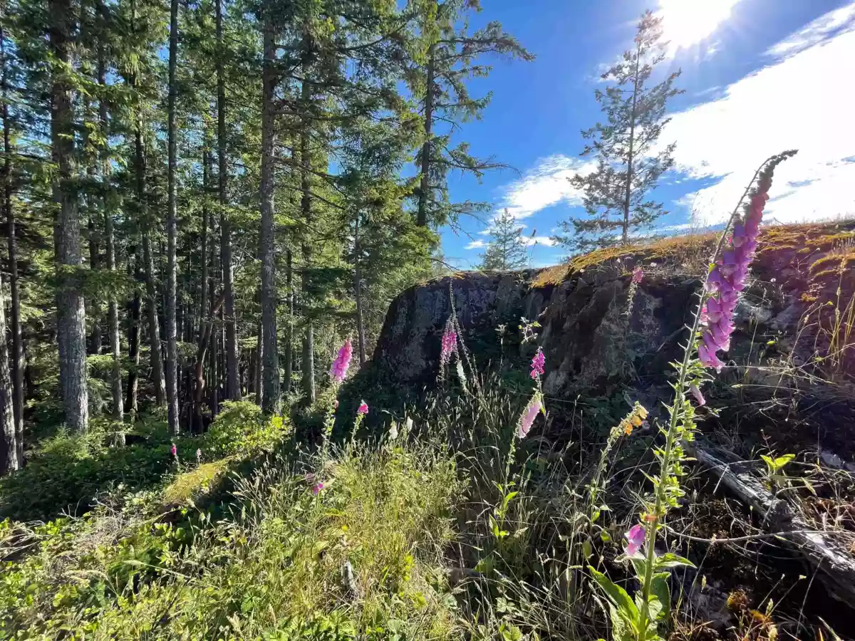 Bedroom 2 Photo of 1673 Evergreen Lane, Bowen Island, BC