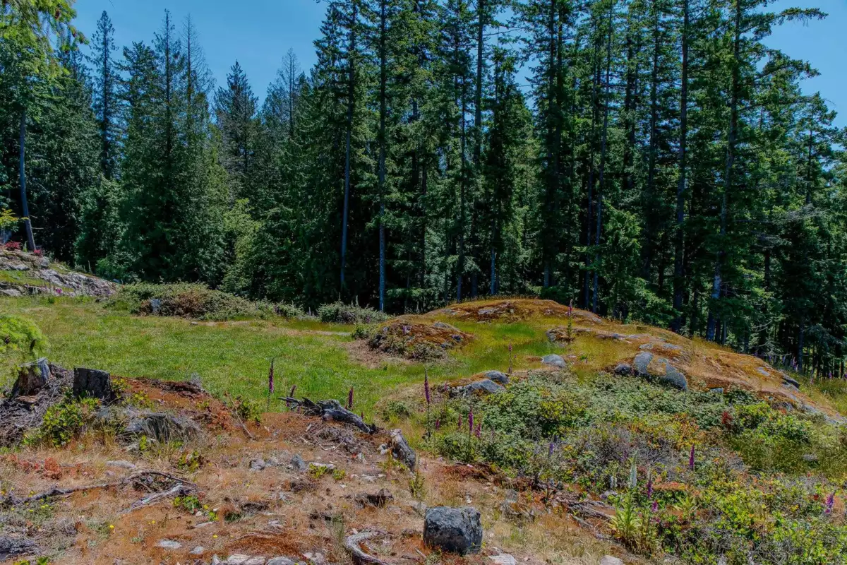 Walk-In Closet Photo of 1673 Evergreen Lane, Bowen Island, BC