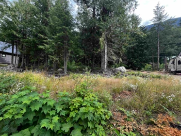 HG136 Old Hope Princeton Highway, Sunshine Valley, BC, Sunshine Valley — Land for sale