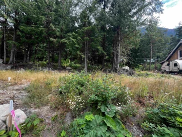 HG136 Old Hope Princeton Highway, Sunshine Valley, BC, Sunshine Valley — Land for sale