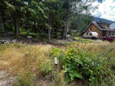 HG136 Old Hope Princeton Highway, Sunshine Valley, BC, Sunshine Valley — Land for sale
