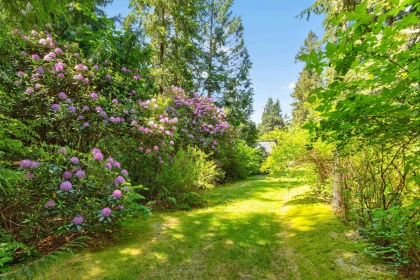 Neighborhood Park Photo Near 27656 110 Avenue, Maple Ridge, BC