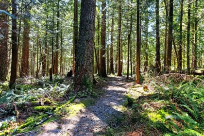 Playground / Recreational Area Near 27656 110 Avenue, Maple Ridge, BC
