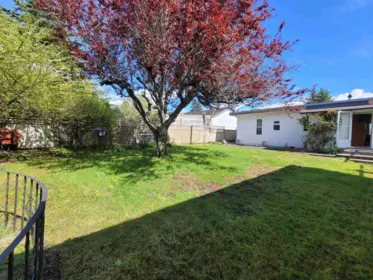 Office / Den Photo of 1137 Parker Street, White Rock, BC