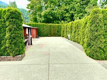174 14600 Morris Valley Road, Mission, BC, Mission — Land for sale