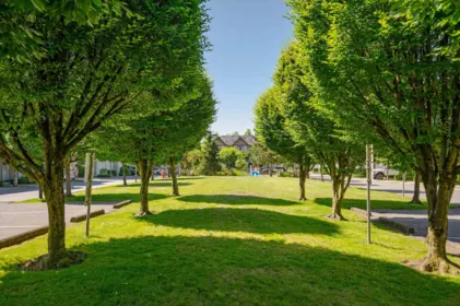 Neighborhood Park Photo Near 9 20540 66 Avenue, Langley, BC