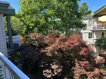 Guest Bathroom Photo of 304 10665 139 Street, Surrey, BC