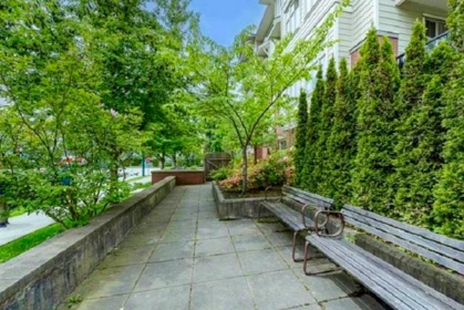 Backyard Photo of 203 2330 Shaughnessy Street, Port Coquitlam, BC