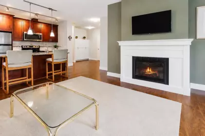 203 2330 Shaughnessy Street, Port Coquitlam, BC, Port Coquitlam — Apartment/Condo for sale
