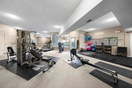 Basement Recreation Room Photo of 415 2628 Maple Street, Port Coquitlam, BC