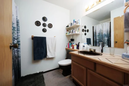Guest Bathroom Photo of 21 1174 Inlet Street, Coquitlam, BC