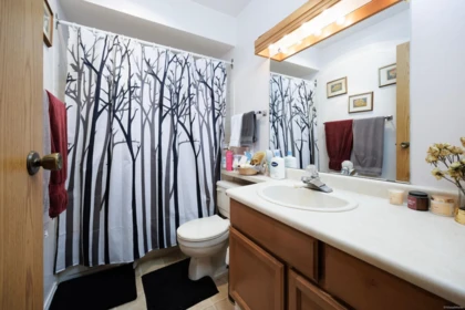 Loft / Bonus Room Photo of 21 1174 Inlet Street, Coquitlam, BC