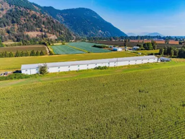 38620 No. 4 Road, Abbotsford, BC, Abbotsford — Land for sale