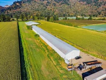 38620 No. 4 Road, Abbotsford, BC, Abbotsford — Land for sale