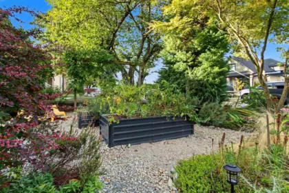 Aerial View of 920 Chilliwack Street, New Westminster, BC