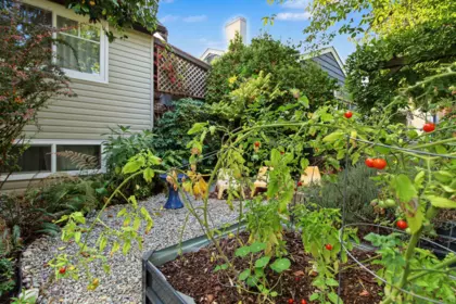 Swimming Pool Photo of 920 Chilliwack Street, New Westminster, BC