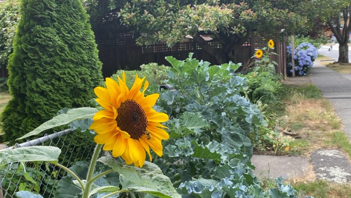 Entry Foyer Photo of 6388 Douglas Street, West Vancouver, BC
