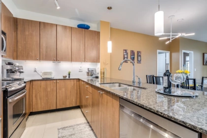 305 245 Ross Drive, New Westminster, BC, New Westminster — Apartment/Condo for sale
