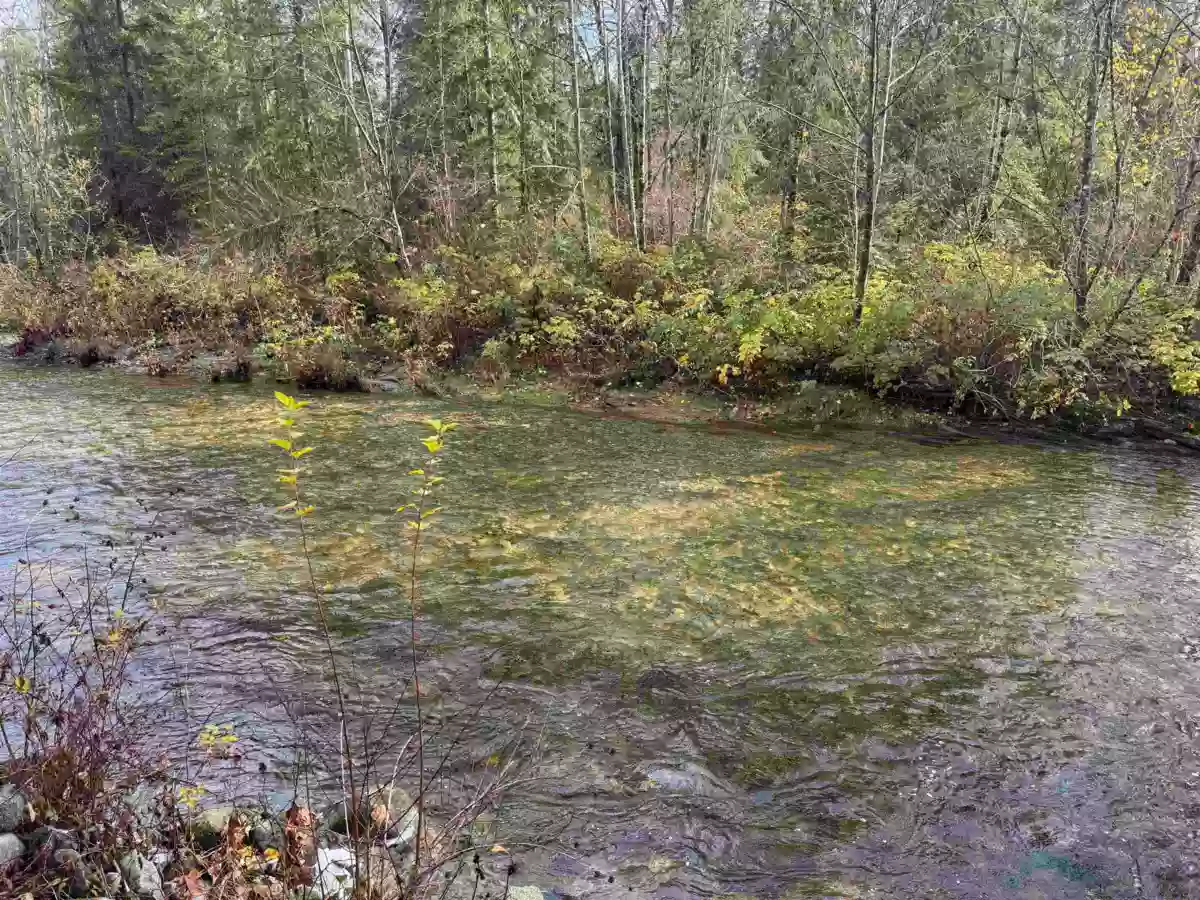 Family Room Photo of 22948 132 Avenue, Maple Ridge, BC