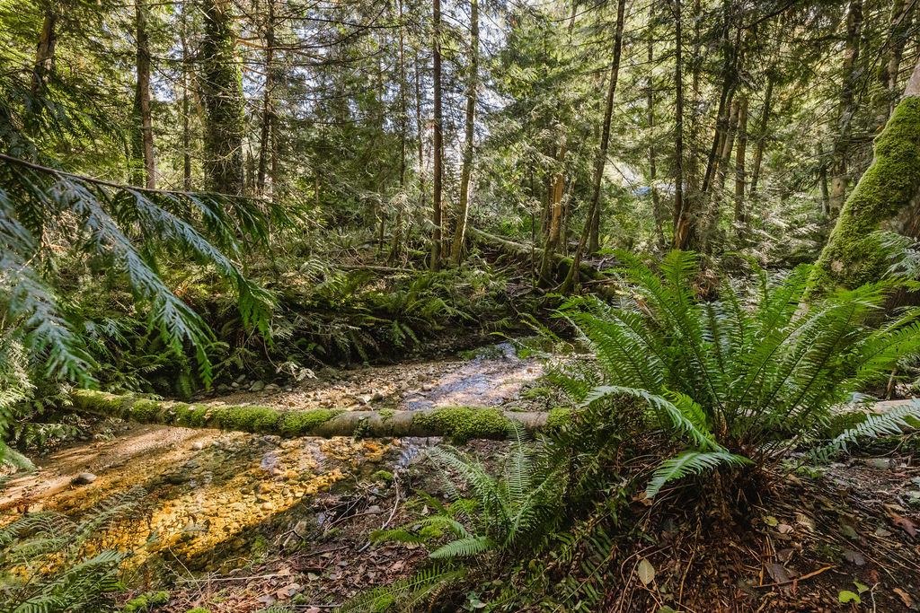 Front Yard Photo of 6252 Sechelt Inlet Road, Sechelt, BC