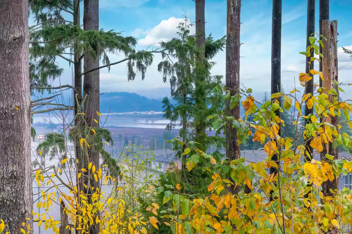 Garage Interior Photo of 114 3525 Chandler Street, Coquitlam, BC
