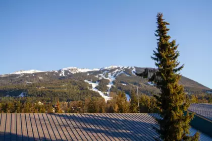 336 4314 Main Street, Whistler, BC, Whistler — Apartment/Condo for sale