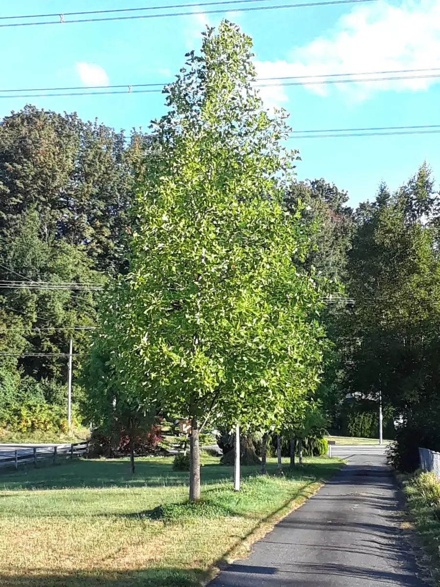 Fitness Center Photo Near 3176 Old Clayburn Road, Abbotsford, BC