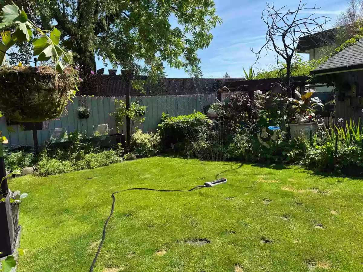 Aerial View of 7217 Mary Avenue, Burnaby, BC