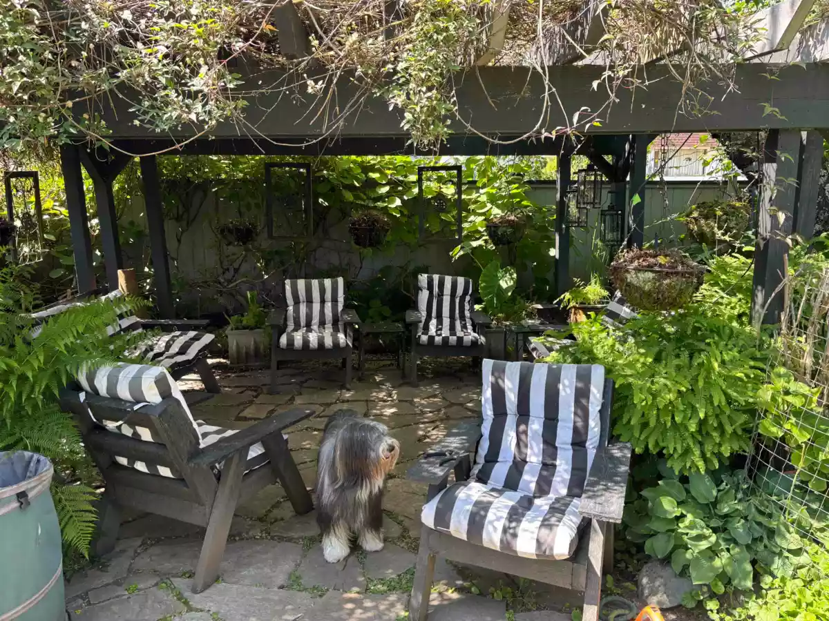 Community Amenities Photo (Clubhouse) of 7217 Mary Avenue, Burnaby, BC