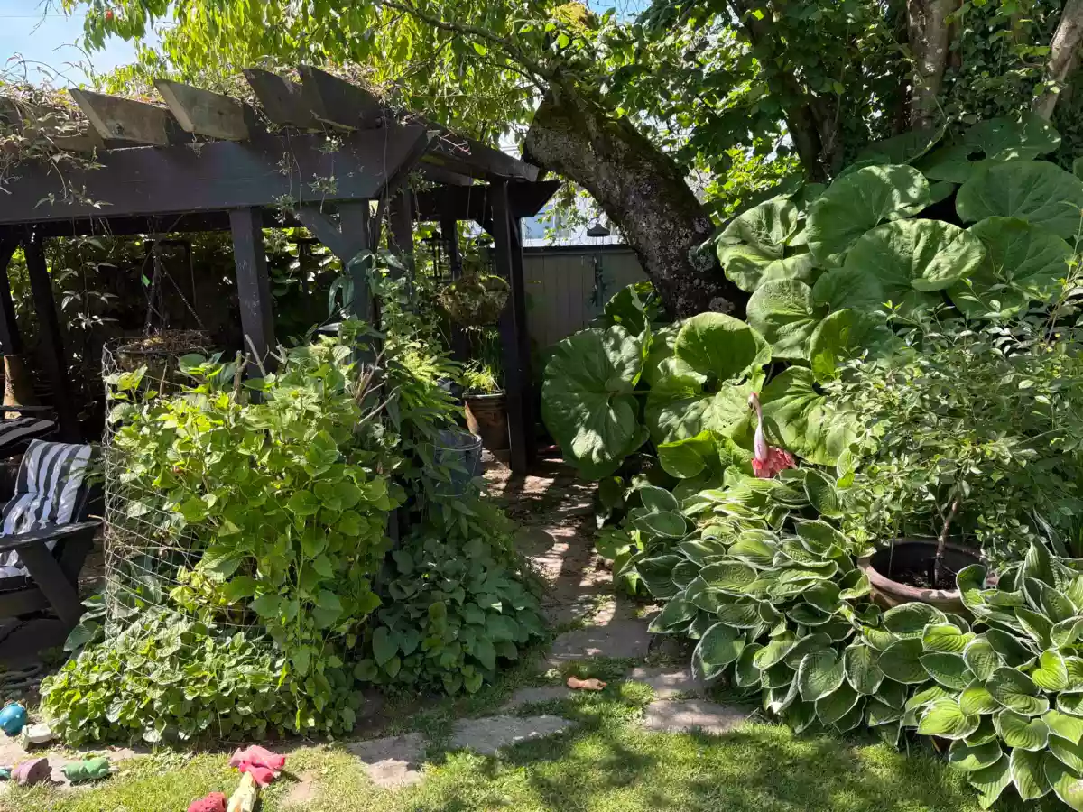 Neighborhood Park Photo Near 7217 Mary Avenue, Burnaby, BC